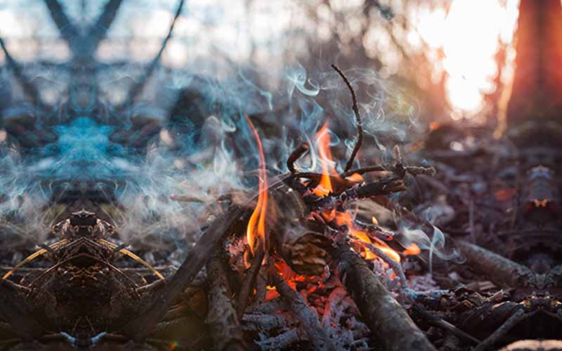 Discover The Symbolic Meaning Of Fire Conscientia Net